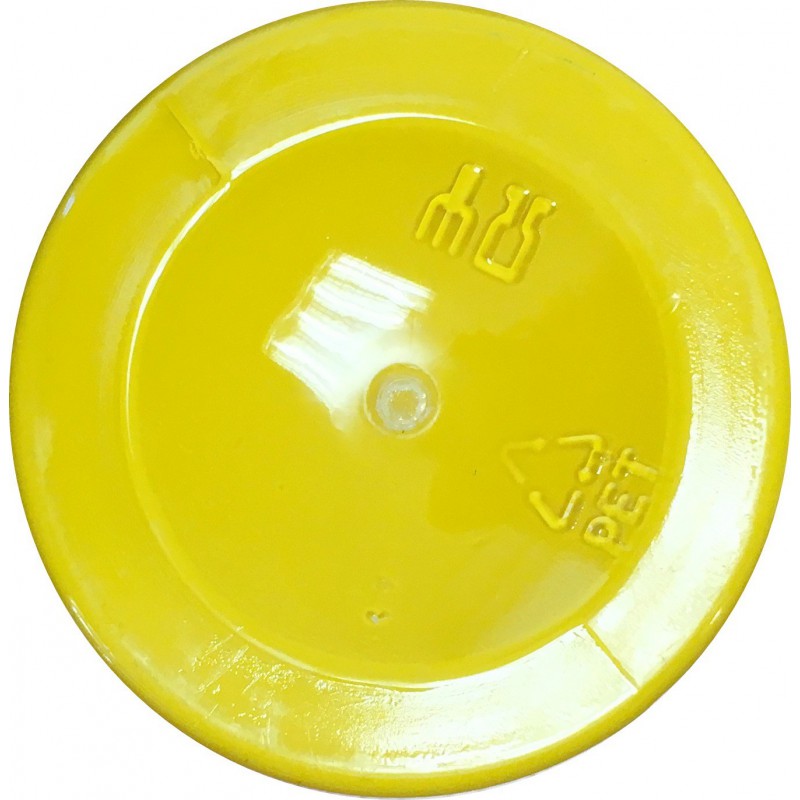 Mat paint Lemon (120 ml)