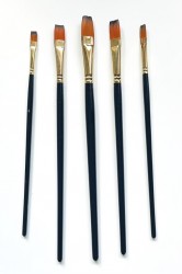 Brushes (5 pcs)