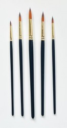 Brushes (5 pcs)